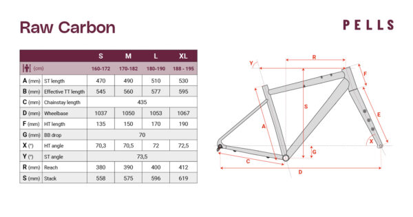 PELLS Raw Carbon 1 Future Dusk - L